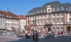Heidelberger Rathaus und Herkulesbrunnen am Marktplatz