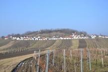 Wildendürnbach, Kellergasse ʺGalgenbergʺ