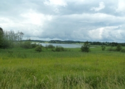 Bannwaldsee