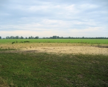 Landschaft bei Königshorst