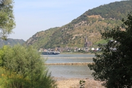Rhein bei Lorch