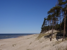 Øde sandstrand så vidt øjet rækker/Deserted sandy beach as far as one can look