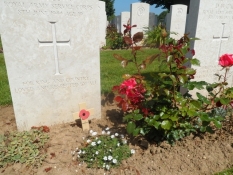 Roser og den allestedsnærværende valmue/Roses and the ever present poppy around the graves