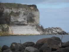 Klinten består af skrivekridt, fiskeler og bryozokalk/The cliff consists mostly of chalk