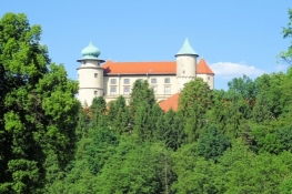 Burg in Nowy Wiśnicz
