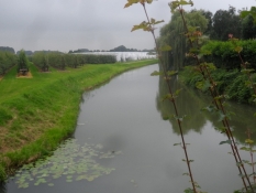 Rhinen i skikkelse af ʺKromme Rijnʺ drejer fra Nederrijn/The Kromme (winding) Rijn near Wijk