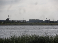 Vindmøllerne ved Kinderdijk fra den anden flodside/The windmills of Kinderdijk from the other bank