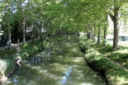 Canal du Midi, southeast of Toulouse