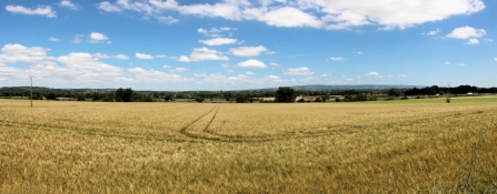 Landscape near Mas-Saintes-Puelles