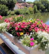 Béziers, Blumen auf der Orb-Brücke