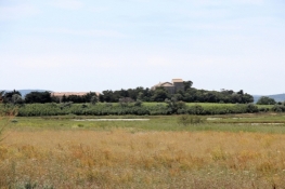 Remains of Maguelone