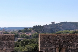 Blick vom Turmdach des Château de Tarascon