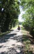 Nebenstraße nach Saint-Martin-de-Pallières