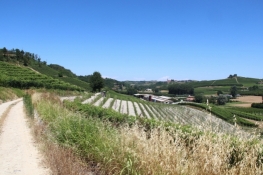 Landschaft zwischen Castellinaldo und Priocca