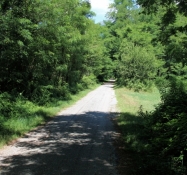 Cycle path in the Toce valley