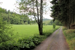 Eder-Radweg im Wald hinter Aue