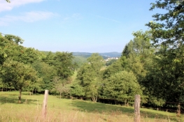 Blick über Vormwald Richtung Hilchenbach