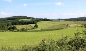 Am Scheitelpunkt zwischen Hilchenbach und Brachthausen