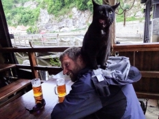 ʺReally tasty beerʺ seems even the cat on my neck to express