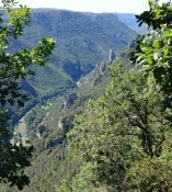 Gorges du Tarn vom Le Point Sublime