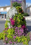 Flower arrangements in Cayeux-sur-Mer