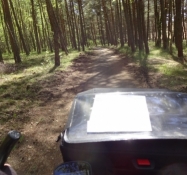 Fin asfalteret cykelsti igennem klitskoven/Splendid tarmac bike path through the forest