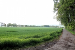 North of Wichtringhausen