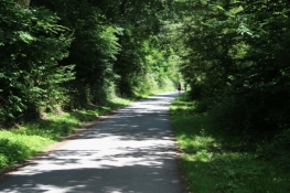 Railway cycle path near Essen-Rüttenscheid