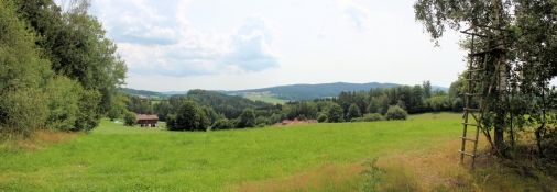 Landschaft zwischen Kaikenried und Altenmais