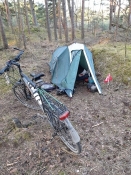 Mit telt stod i skovbnunden, da campingpladserne endnu ikke havde åbnet sæsonen