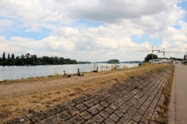 Am Bingener Rheinhafen