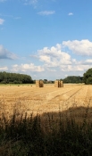 Landscape near Freckenhorst