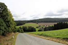 Landschaft bei Hermersreuth