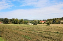In the Saale valley near Würchhausen