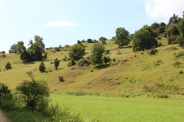 Landscape in the valley of the Gailach