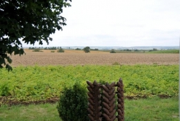 Landscape near Illesheim