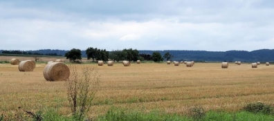 Straw bales near Urfersheim