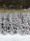Drauzufluss in Mittewald
