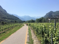 On the Adige Valley Cycle Path between Marco and Chizolla