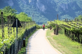 On the Adige Valley cycle path near Santa Margherita (Ala)