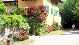 House with beautiful roses near Sabbionara