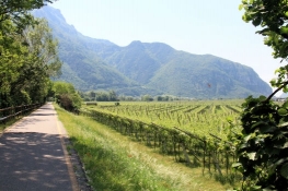 Am Etschtal-Radweg zwischen Sabbionara und Belluno