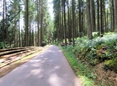 Eifel-Ardennen-Radweg zwischen Bleialf und Pronsfeld