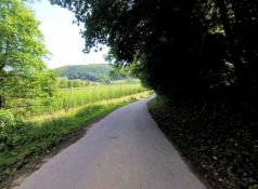 Prümtal-Radweg zwischen Holsthum und Prümzurlay