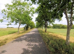 Maare-Mosel-Radweg bei Laufeld