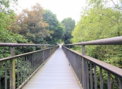 Eselsbrücke in Daun