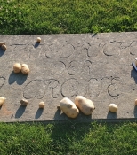 Gäste legen Kartoffeln auf den Grabstein Friedrichs des Großen wegen seinen Landwirtschaftsreformen